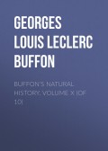 Buffon's Natural History. Volume X (of 10)