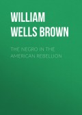 The Negro in The American Rebellion