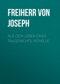 Aus dem Leben eines Taugenichts: Novelle