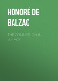 The Commission in Lunacy