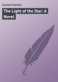 The Light of the Star: A Novel