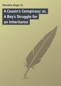 A Cousin's Conspiracy: or, A Boy's Struggle for an Inheritance