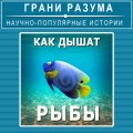 Как дышат рыбы