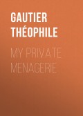 My Private Menagerie