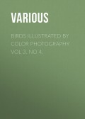 Birds Illustrated by Color Photography Vol 3. No 4.