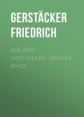 Aus zwei Welttheilen. Zweiter Band.