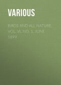 Birds and All Nature, Vol. VI, No. 1, June 1899