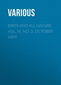 Birds and All Nature, Vol. VI, No. 3, October 1899