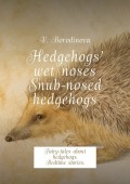Hedgehogs’ wet noses. Snub-nosed hedgehogs. Fairy-tales about hedgehogs. Bedtime stories.