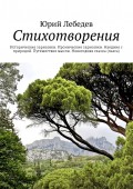 Стихотворения. Исторические зарисовки. Иронические зарисовки. Наедине с природой. Путешествие мысли. Новогодняя сказка (пьеса)