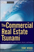 The Commercial Real Estate Tsunami. A Survival Guide for Lenders, Owners, Buyers, and Brokers