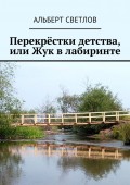 Перекрёстки детства, или Жук в лабиринте