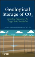 Geological Storage of CO2. Modeling Approaches for Large-Scale Simulation