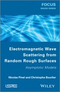Electromagnetic Wave Scattering from Random Rough Surfaces. Asymptotic Models