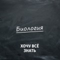 Органы чувств. Слух