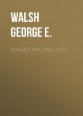 Washer the Raccoon