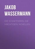 Die Schaffnerin; Die Mächtigen: Novellen