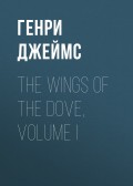 The Wings of the Dove, Volume I