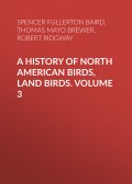 A History of North American Birds, Land Birds. Volume 3