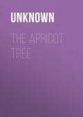 The Apricot Tree