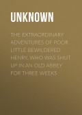 The Extraordinary Adventures of Poor Little Bewildered Henry, Who was shut up in an Old Abbey for Three Weeks