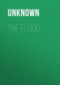 The Flood