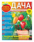 Дача Pressa.ru 22-2018