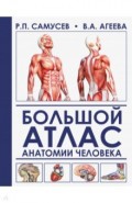 Большой атлас анатомии человека