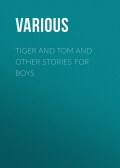 Tiger and Tom and Other Stories for Boys