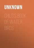 Child's Book of Water Birds