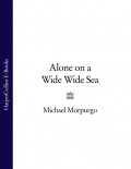 Alone on a Wide Wide Sea