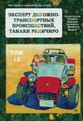 Эксперт дорожно-транспортных происшествий Тамаки Риничиро. Том 13