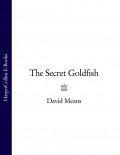 The Secret Goldfish