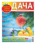 Дача Pressa.ru 01-2019