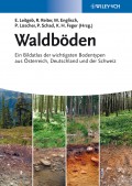 Waldböden. Ein Bildatlas der Wichtigsten Bodentypen aus Österreich, Deutschland und der Schweiz