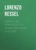 Normal Cell Morphology in Canine and Feline Cytology. An Identification Guide