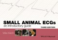 Small Animal ECGs. An Introductory Guide