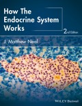 How the Endocrine System Works