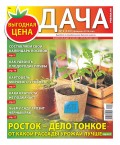 Дача Pressa.ru 03-2019