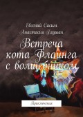 Встреча кота Флаинга с волшебником. Приключения