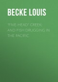 "Five-Head" Creek; and Fish Drugging In The Pacific