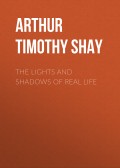 The Lights and Shadows of Real Life