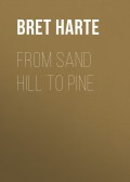 From Sand Hill to Pine