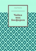 Чайка над Босфором