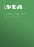 Infant's Cabinet of Birds & Beasts