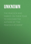 The Peacock and Parrot, on their Tour to Discover the Author of "The Peacock At Home"