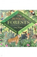 In Focus: Forests