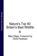Nature’s Top 40: Britain’s Best Wildlife