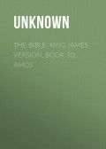 The Bible, King James version, Book 30: Amos