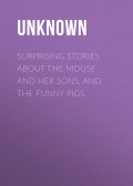 Surprising Stories about the Mouse and Her Sons, and the Funny Pigs.